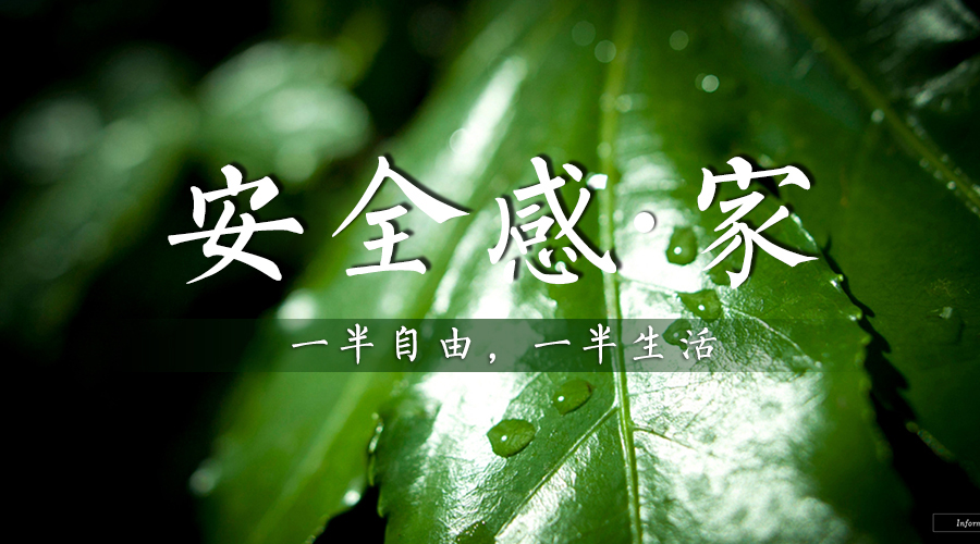 新西兰智阁板材让你住个有安全感的家