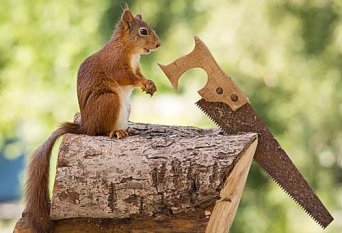 木工手工工具大全，手工木工工具图片