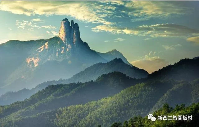 新西兰智阁板材