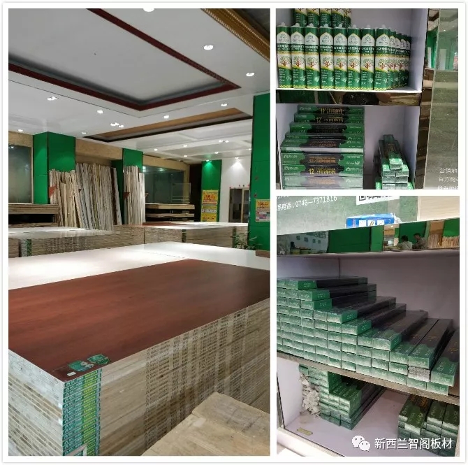 新西兰智阁板材