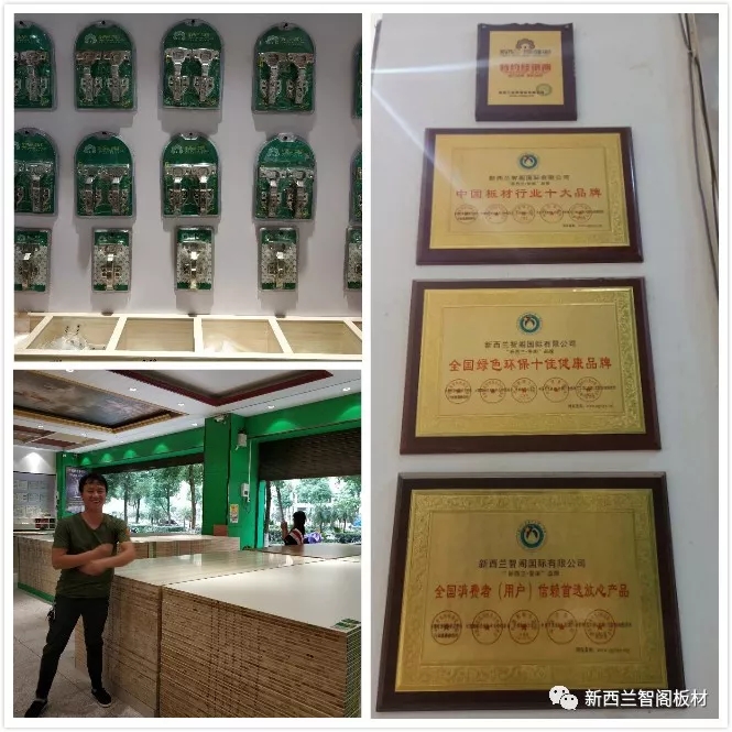 新西兰智阁板材